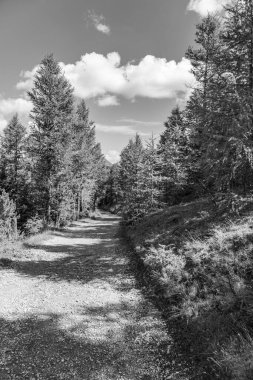 Avusturya Alpleri 'nde Carinthia' da yürüyüş