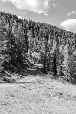 Avusturya Alpleri 'nde Carinthia' da yürüyüş