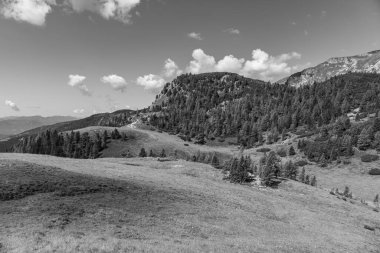 Avusturya Alpleri 'nde Carinthia' da yürüyüş
