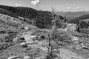 Avusturya Alpleri 'nde Carinthia' da yürüyüş