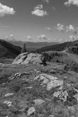 Avusturya Alpleri 'nde Carinthia' da yürüyüş