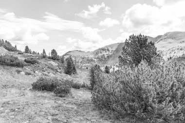 Avusturya Alpleri 'nde Carinthia' da yürüyüş