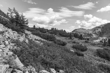 Avusturya Alpleri 'nde Carinthia' da yürüyüş