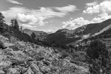 Avusturya Alpleri 'nde Carinthia' da yürüyüş