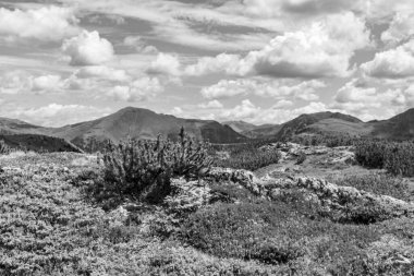 Avusturya Alpleri 'nde Carinthia' da yürüyüş