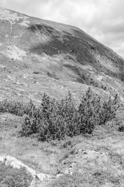 Avusturya Alpleri 'nde Carinthia' da yürüyüş