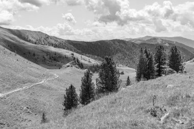 Avusturya Alpleri 'nde Carinthia' da yürüyüş