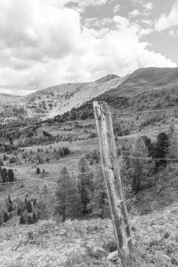 Avusturya Alpleri 'nde Carinthia' da yürüyüş