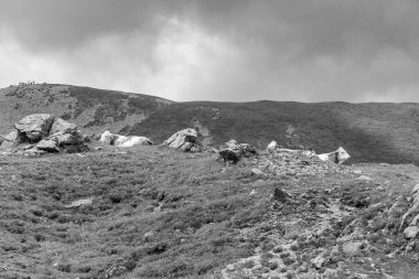 Avusturya Alpleri 'nde Carinthia' da yürüyüş