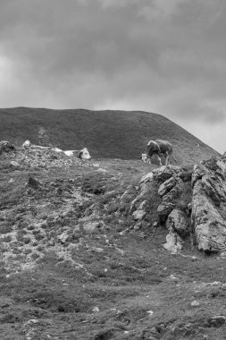 Avusturya Alpleri 'nde Carinthia' da yürüyüş