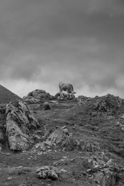 Avusturalya Alplerinde Carinthia