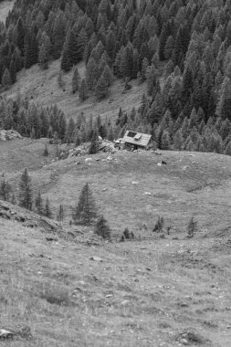 Avusturalya Alplerinde Carinthia