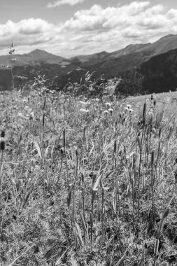 Avusturalya Alplerinde Carinthia