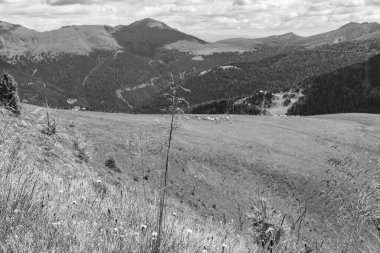 Avusturalya Alplerinde Carinthia