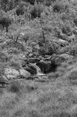 Avusturalya Alplerinde Carinthia