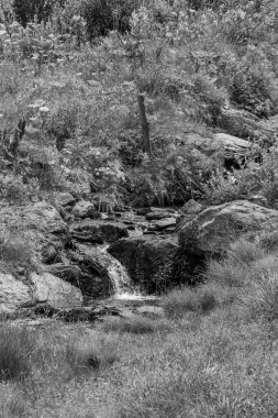 Avusturalya Alplerinde Carinthia