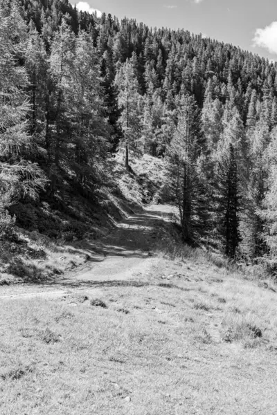 Avusturya Alpleri 'nde Carinthia' da yürüyüş