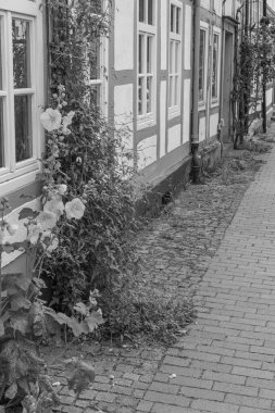 Almanya 'nın tarihi Hildesheim kenti