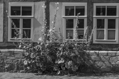 Almanya 'nın tarihi Hildesheim kenti