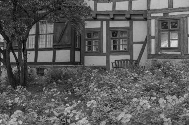 Almanya 'nın tarihi Hildesheim kenti