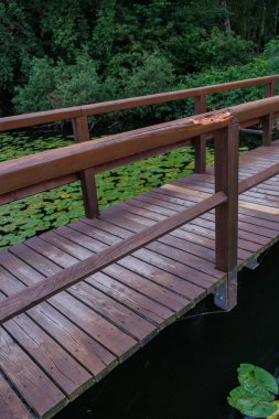 Potsdam şehrinde yaz arifesinde