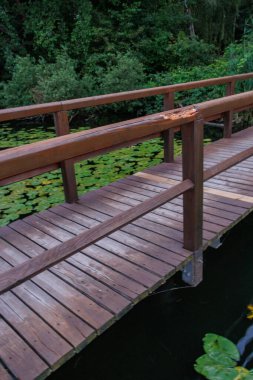 Potsdam şehrinde yaz arifesinde