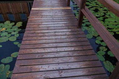 Potsdam şehrinde yaz arifesinde