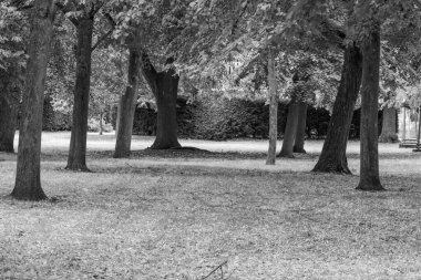 Akşamleyin Potsdam şehrinde.