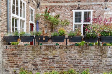 Maastricht şehri Hollanda 'daki Maas Nehri' nde.