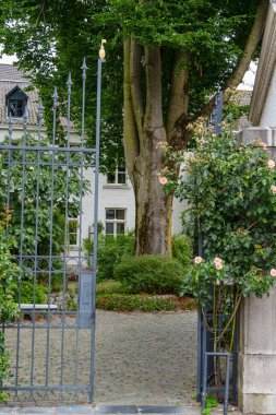 Maastricht şehri Hollanda 'daki Maas Nehri' nde.