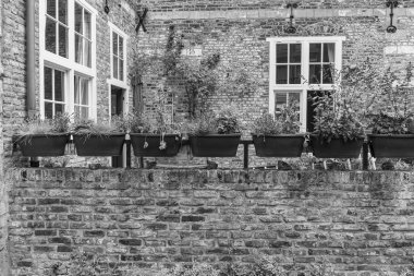 Maastricht şehri Hollanda 'daki Maas Nehri' nde.