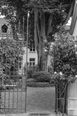 Maastricht şehri Hollanda 'daki Maas Nehri' nde.