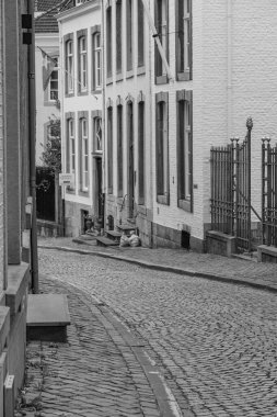 Maastricht şehri Hollanda 'daki Maas Nehri' nde.