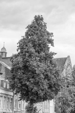 Maastricht şehri Hollanda 'daki Maas Nehri' nde.