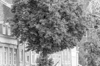 Maastricht şehri Hollanda 'daki Maas Nehri' nde.