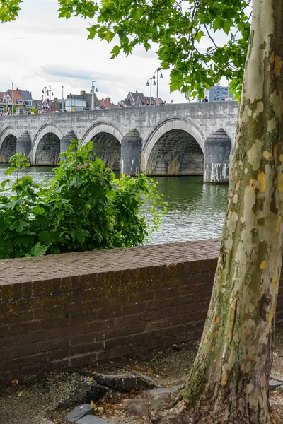 Maastricht şehri Hollanda 'daki Maas Nehri' nde.
