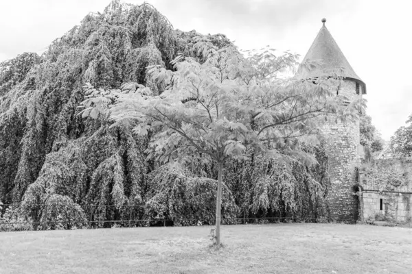 Maastricht şehri Hollanda 'daki Maas Nehri' nde.