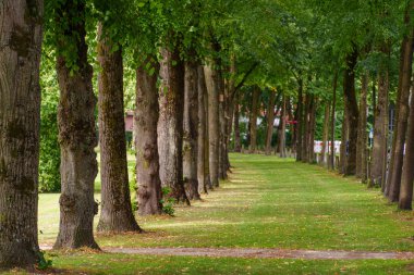 Westphalia 'daki Coesfeld şehri.