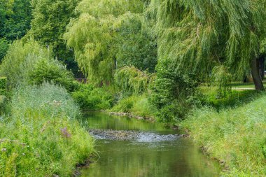 Westphalia 'daki Coesfeld şehri.