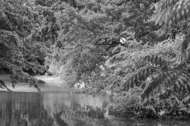 Westphalia 'daki Coesfeld şehri.