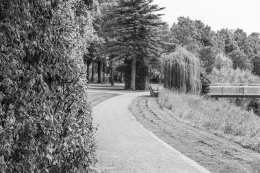 Westphalia 'daki Coesfeld şehri.