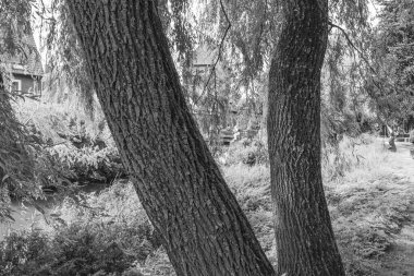 Westphalia 'daki Coesfeld şehri.