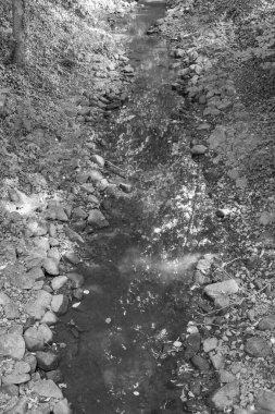 Westphalia 'daki Coesfeld şehri.