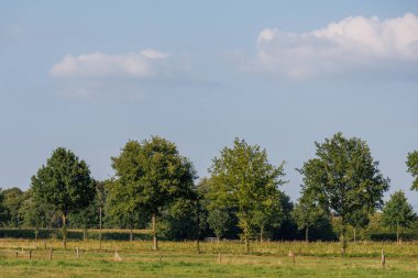 Alman Muensterland 'inde yaz mevsimi