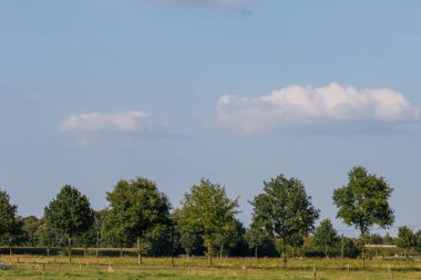 Alman Muensterland 'inde yaz mevsimi