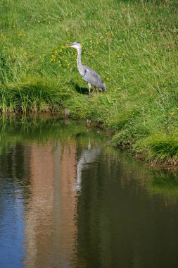 Westphalia 'daki Raesfeld köyünde yaz mevsimi