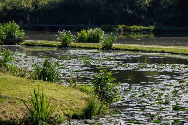 Westphalia 'daki Raesfeld köyünde yaz mevsimi