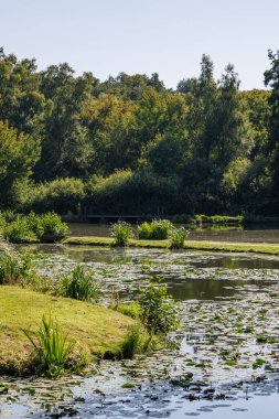 Westphalia 'daki Raesfeld köyünde yaz mevsimi