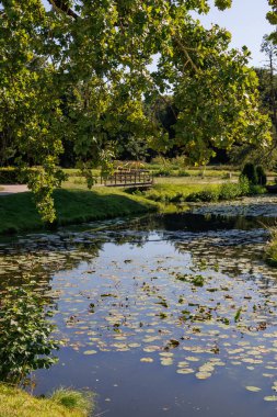 Westphalia 'daki Raesfeld köyünde yaz mevsimi