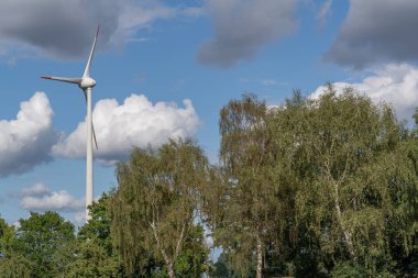 Westphalia 'da Ramsdorf yakınlarında yaz mevsimi